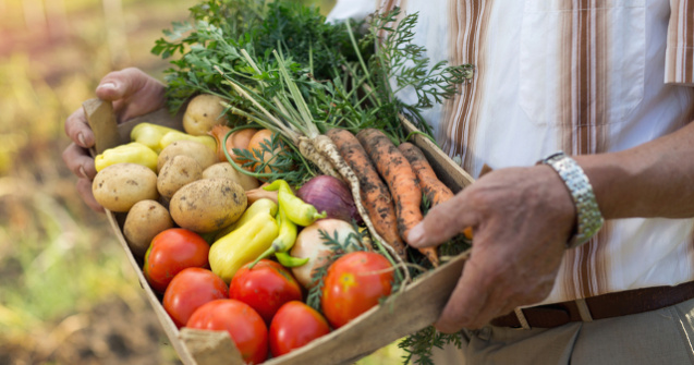 Top 4 legume din bucataria romaneasca: ce trebuie sa stii ca sa le cultivi in propria gradina