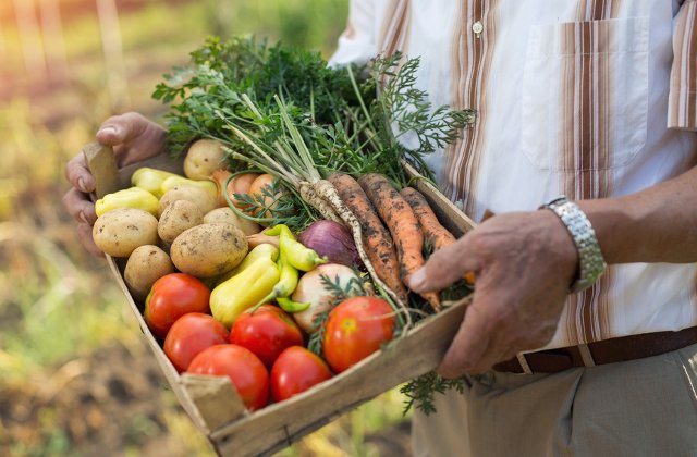 Top 4 legume din bucataria romaneasca: ce trebuie sa stii ca sa le cultivi in propria gradina