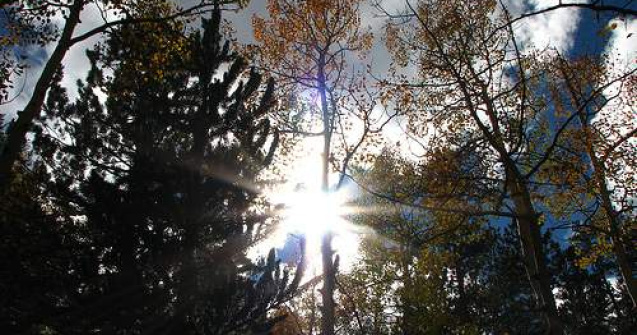 Peste 30 de grade la inceput de septembrie