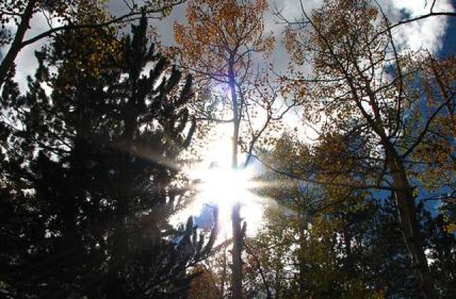 Peste 30 de grade la inceput de septembrie