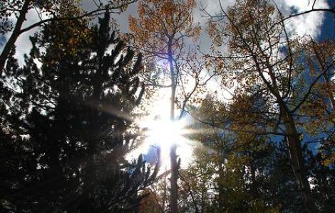 Peste 30 de grade la inceput de septembrie