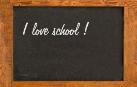  Top  Cat costa "prima zi de scoala"?