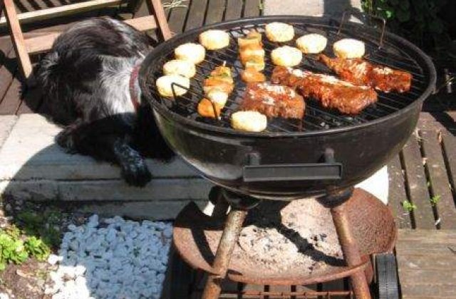 Era gratarului din fata blocului s-a incheiat