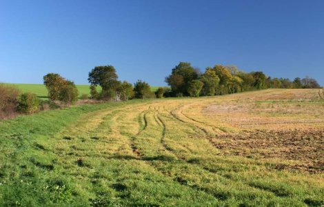 BCR vrea sa atraga micii fermieri cu oferta de leasing pentru utilaje agricole