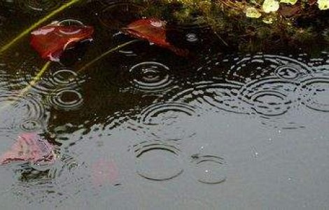 Meteo: Vremea devine instabila