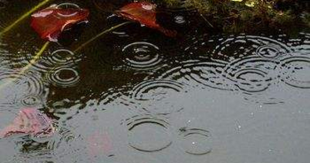 Meteo: Vremea devine instabila