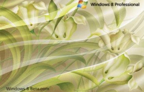 Cand va aparea Windows 8?