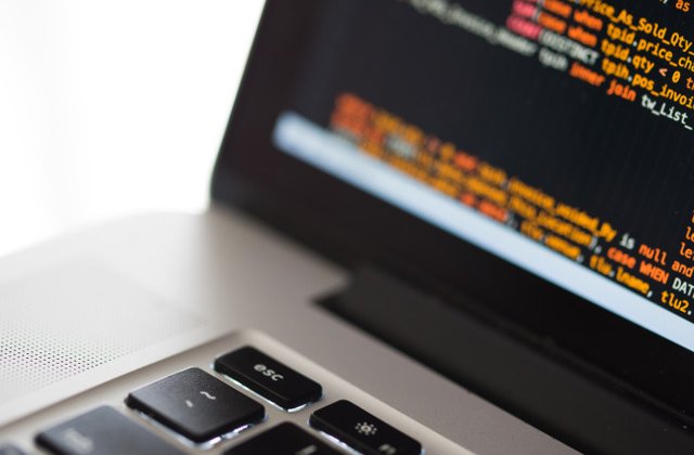 Grupare specializata in infractiuni informatice, destructurata