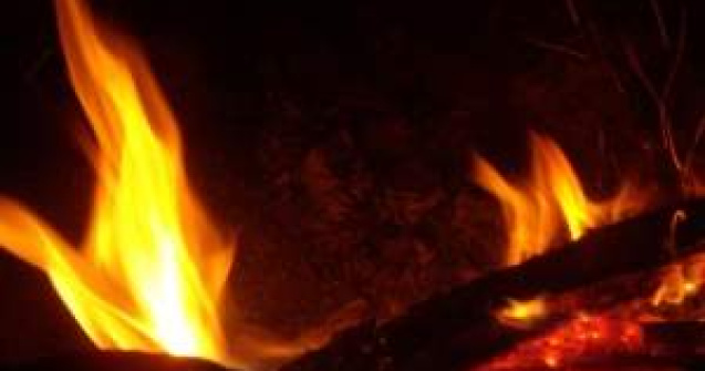 Incendiu in Biosfera Deltei Dunarii