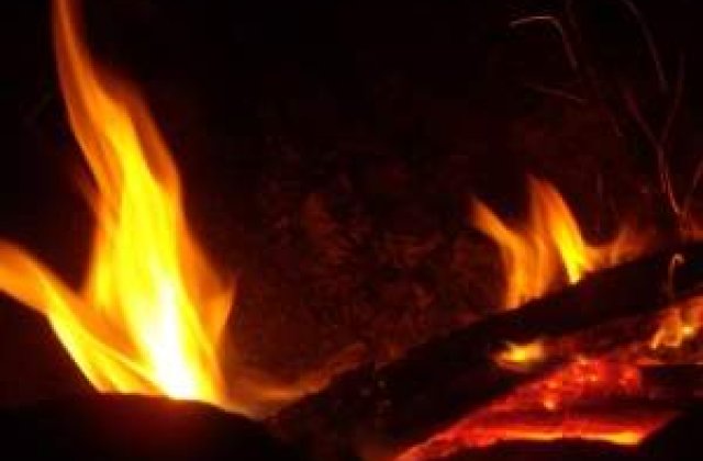 Incendiu in Biosfera Deltei Dunarii