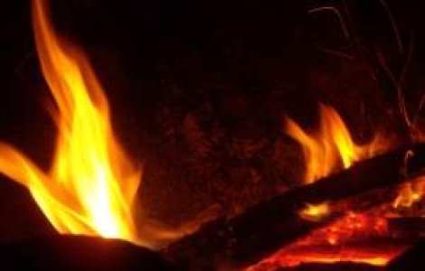 Incendiu in Biosfera Deltei Dunarii