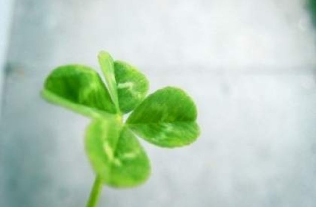 A fost castigat premiul cel mare Loto 5/40: Peste 220.000 de lei