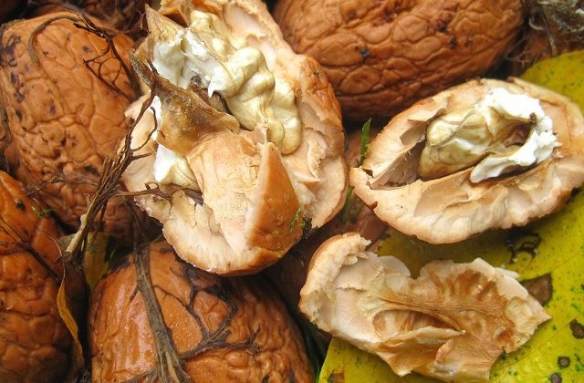 Elimina stresul si reduc riscul unui infarct. 8 beneficii ale nucilor verzi