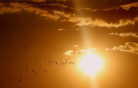 Atentionare de calatorie MAE pentru Georgia: Temperaturi extreme