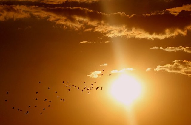 Atentionare de calatorie MAE pentru Georgia: Temperaturi extreme