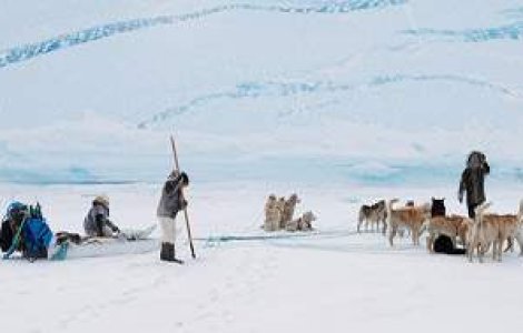 Ready, Steady, Go! Incepe Green Planet Blues