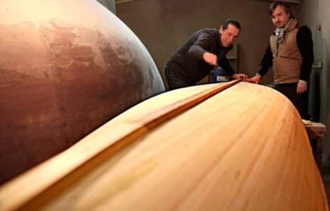 Businessul prin care Ivan Patzaichin vrea sa dezvolte Delta Dunarii