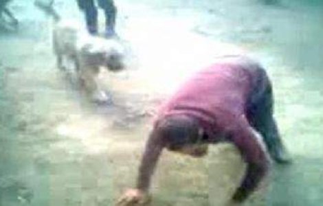 Umilinta: Cioban din Dambovita, obligat de stapan sa imite o vaca