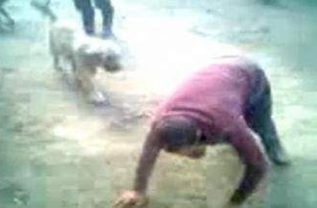 Umilinta: Cioban din Dambovita, obligat de stapan sa imite o vaca