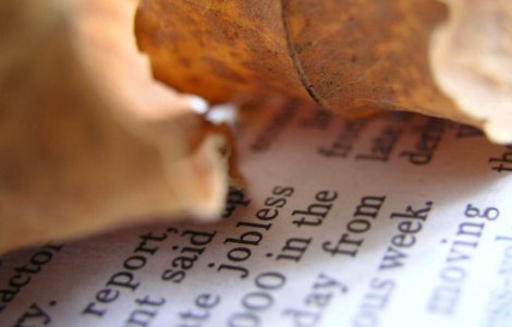 Toamna se numara joburile: Topul locurilor de munca vacante