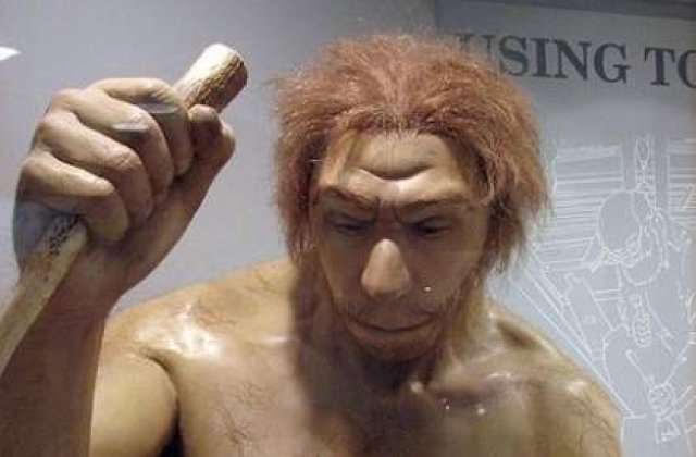 Incrucisarile dintre Homo sapiens si omul de Neanderthal erau rare