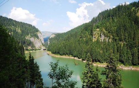 Incendiu in Parcul Natural Bucegi