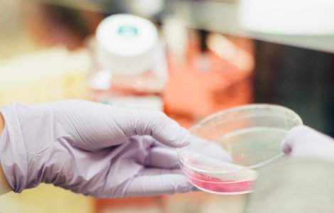 Cercetatorii australieni au identificat o gena cheie in raspunsul imunologic la boli si infectii