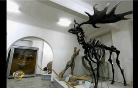  Top  Cum arata Muzeul Antipa dupa modernizare?