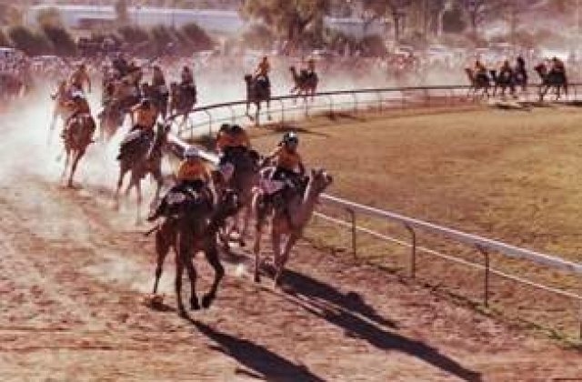 Top 10 cele mai "urate" sporturi