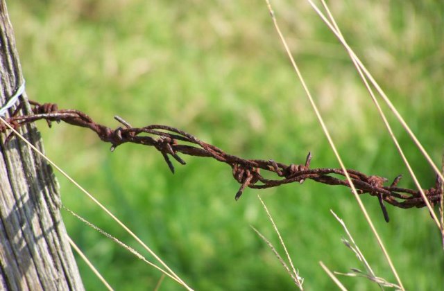 Rusia ameninta: Fara "bai de sange" in Kosovo!