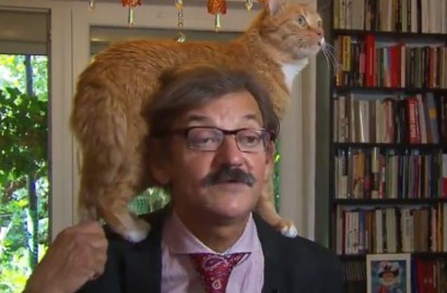 Momentul amuzant in care un motan intrerupe un interviu in direct / VIDEO