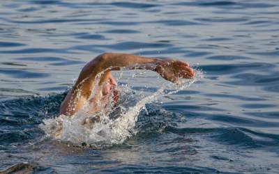 7 alimente pe care sa nu le...