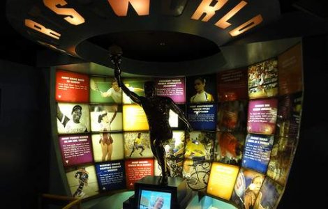 Record mondial de vedeta: Top Guinness World Records 2012