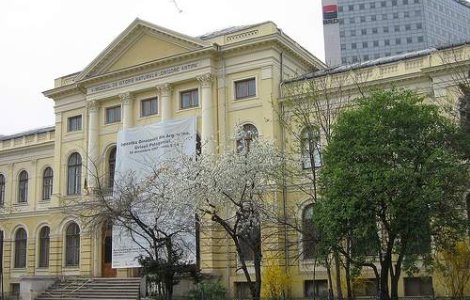  Top  Capitala s-a mutat la muzeu in weekend