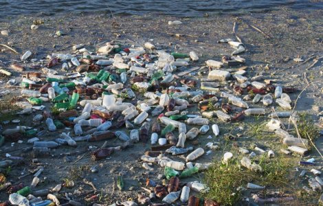 Gavrilescu: Cei care arunca deseuri in locuri neamenajate trebuie sa plateasca amenzi foarte mari