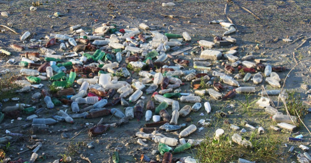 Gavrilescu: Cei care arunca deseuri in locuri neamenajate trebuie sa plateasca amenzi foarte mari