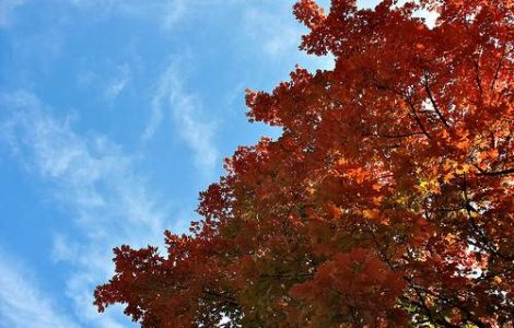 Meteo: Cum va fi vremea in urmatoarele zile?