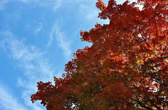 Meteo: Cum va fi vremea in urmatoarele zile?