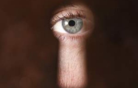 Legea Big Brother, care ne 'priveste', contestata in masa