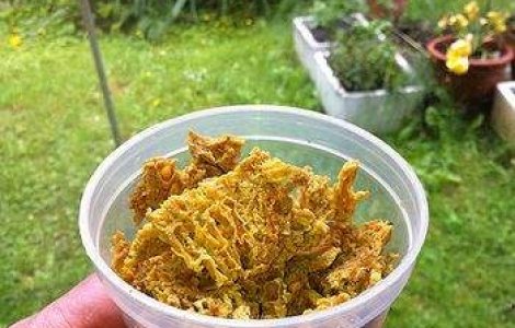 Propolisul: Beneficii sanatoase pentru toamna