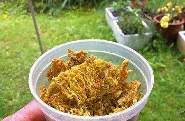 Propolisul: Beneficii sanatoase pentru toamna