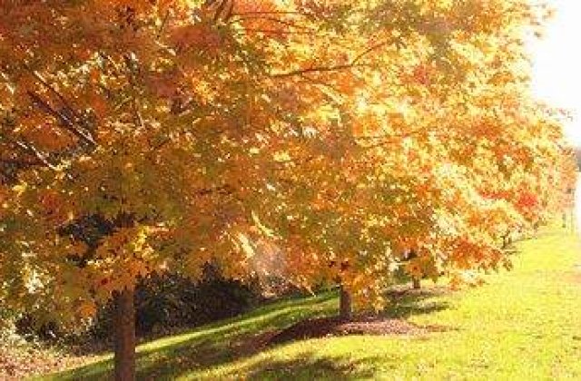 Vremea la sfarsit de saptamana