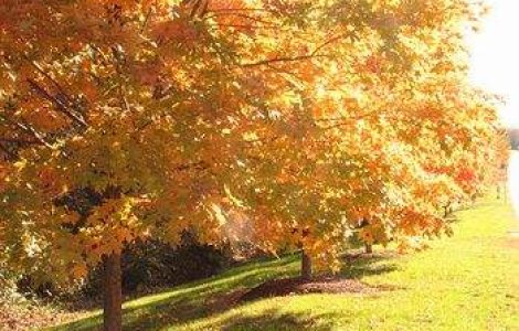 Vremea la sfarsit de saptamana