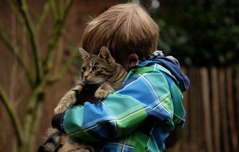  Top  10+ fotografii care ilustreaza ca pisicile iubesc... copiii (si invers)
