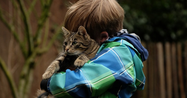  Top  10+ fotografii care ilustreaza ca pisicile iubesc... copiii (si invers)