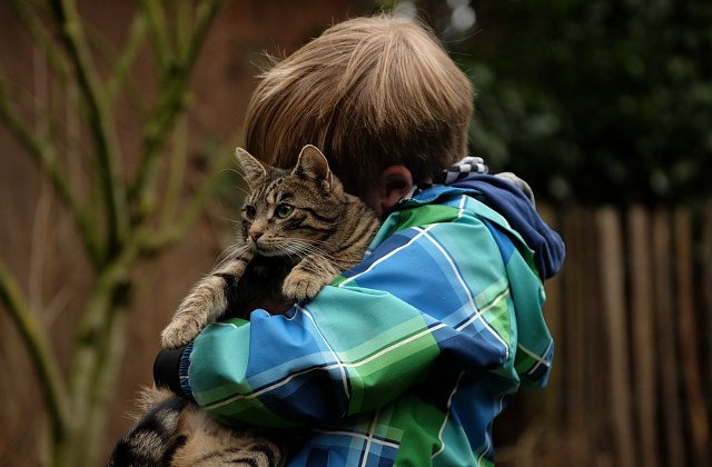 10+ fotografii care ilustreaza ca pisicile iubesc... copiii (si invers)