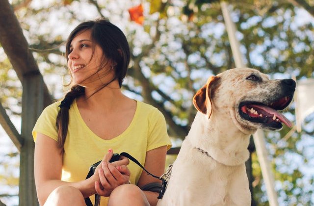 Ce isi doresc, de fapt, cainii de la stapani? 10 raspunsuri care te vor convinge ca are nevoie de mai multa atentie