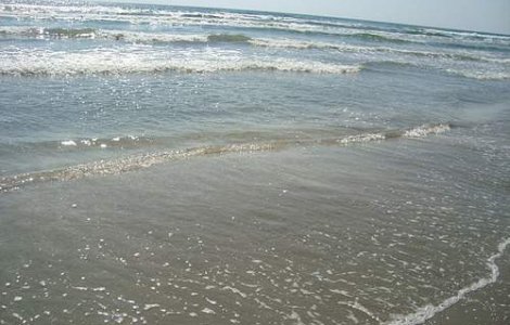 Navodari: Avem o insula si o vindem