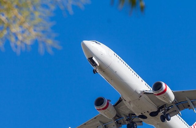 Un caine a deschis usa de la cala de bagaje a unui avion, dupa ce a scapat din cusca