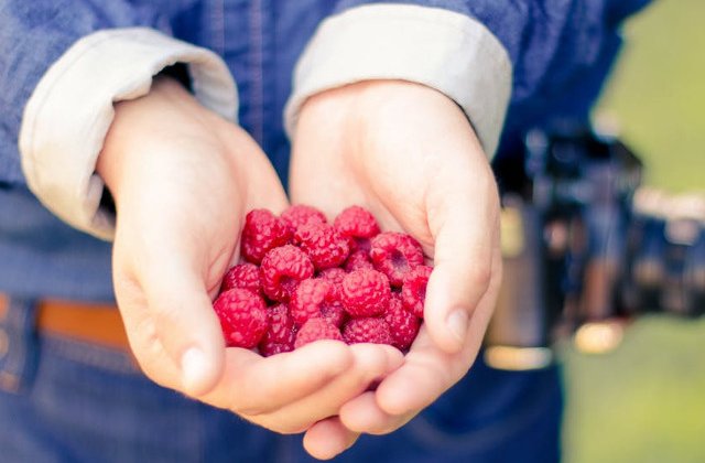 La indemana pe timpul verii! Trei surse importante de antioxidanti care intaresc sistemul imunitar